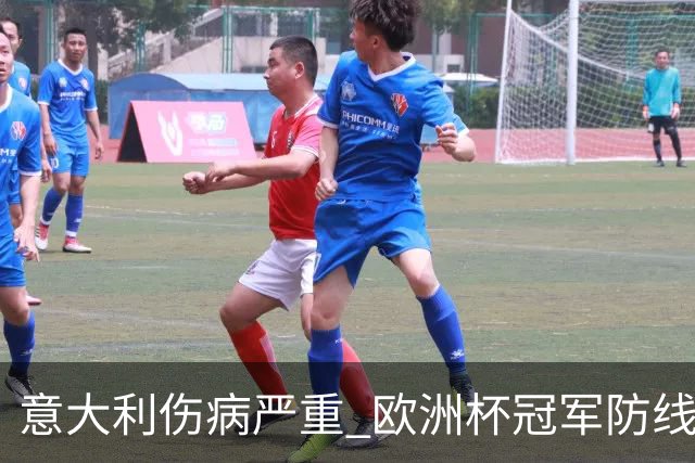 意大利伤病严重 欧洲杯冠军防线或全部无法上场